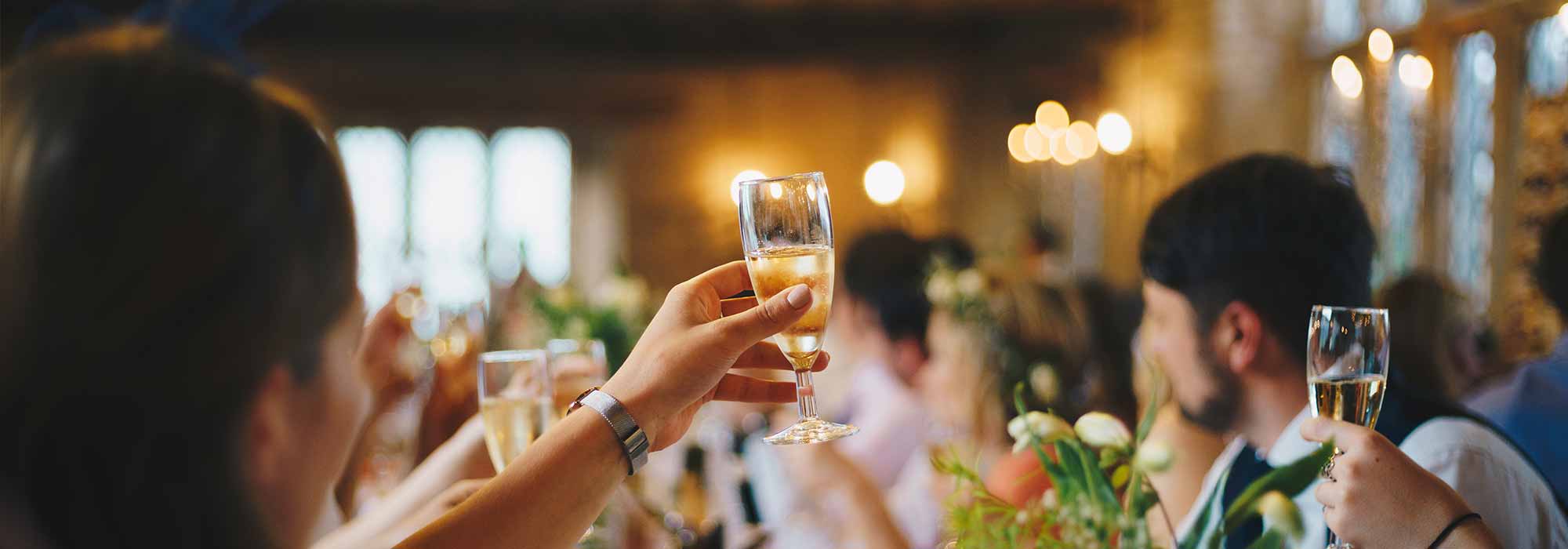 Guests at a wedding raise a toast.