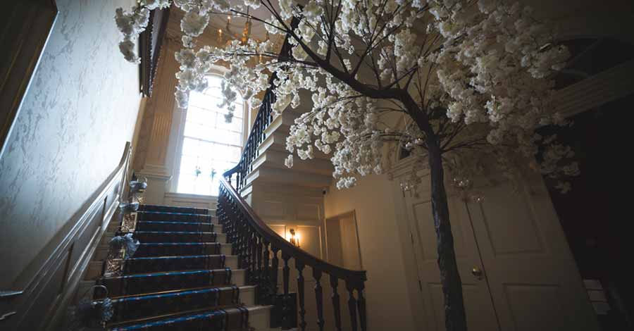 A stairway in the Mansion House with a cherry blossom tree at the bottom.